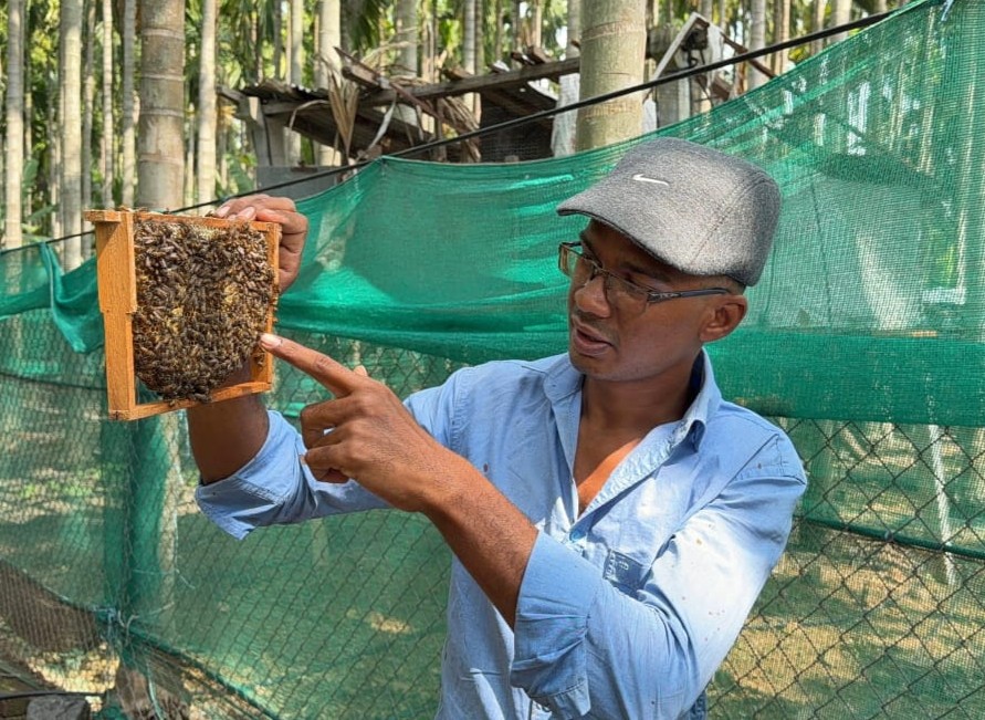 Traditional beekeeper inspecting honeycomb